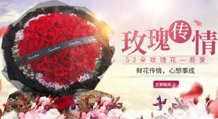 山东济宁汶上县南站镇齐高村鲜花速递